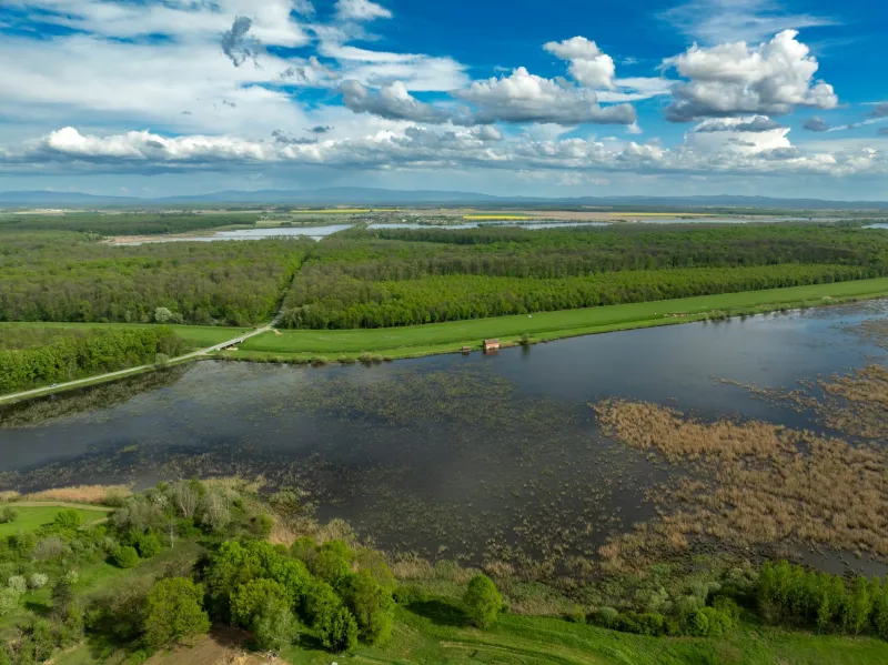 Restricted Ground: What Federal and State Environmental Designations Really Mean for Your Land's Value and Potential