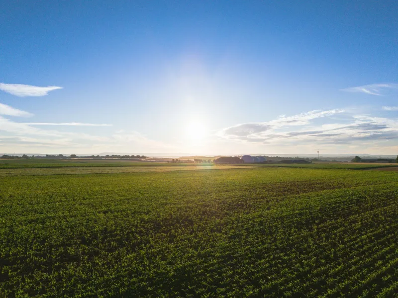 Patience Over Speed: Why the Smartest Land Investors Are Playing the Long Game