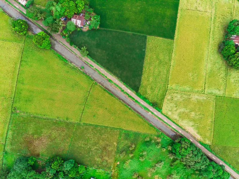 When Standing Still Costs More Than Moving: The Real Price of Holding Land Through Market Cycles
